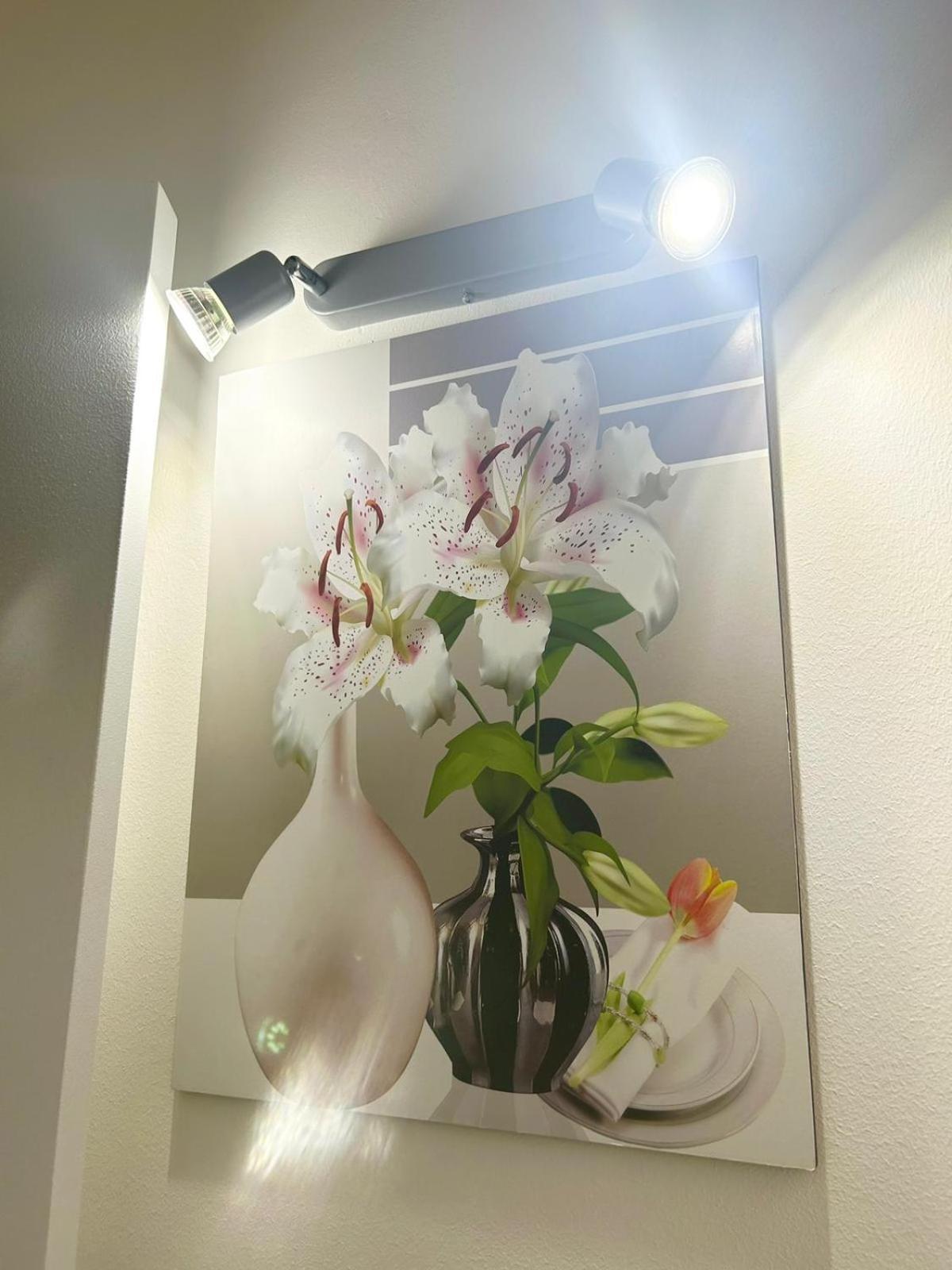 Apartments For Rent Katania Zewnętrze zdjęcie